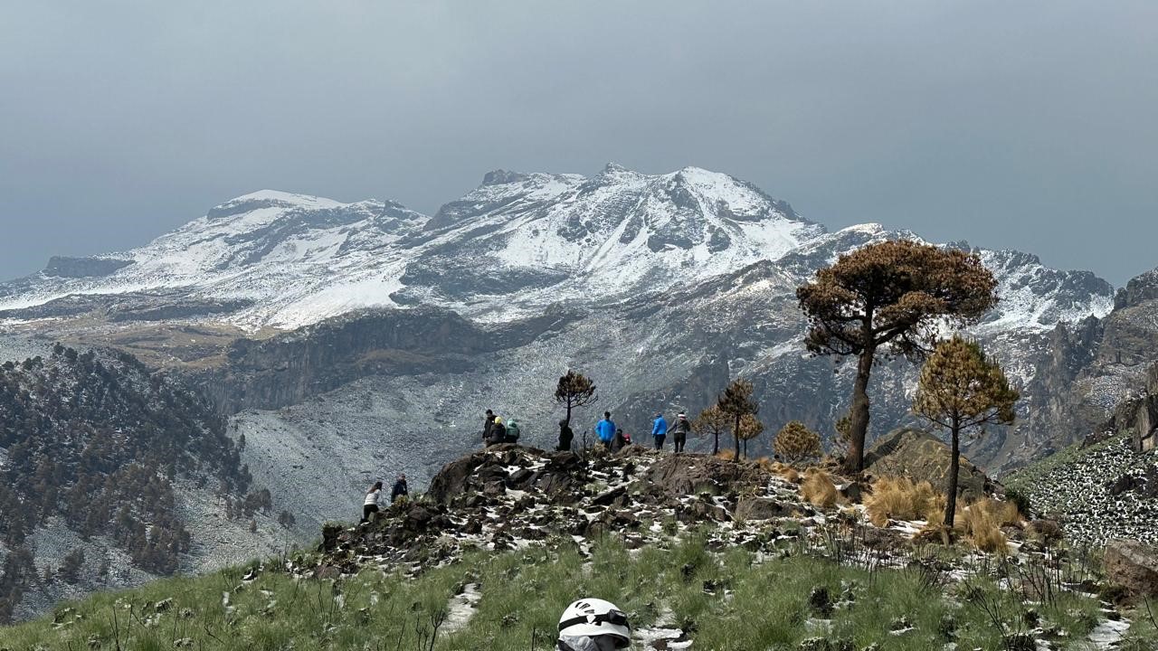 Descubren nueva especie de “oso de agua” en el Iztaccíhuatl